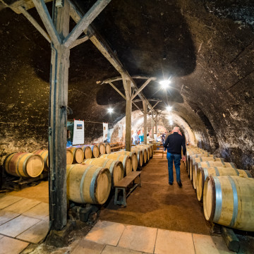 Formation des nologues :  Conversion du vignoble Beaujolais